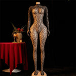 Hot Sexy Lingerie Erotic Crotchless Women Mesh Hollow Bodystockings Full Sleeve LeopardSling Hanging Neck Underwear Body Suits