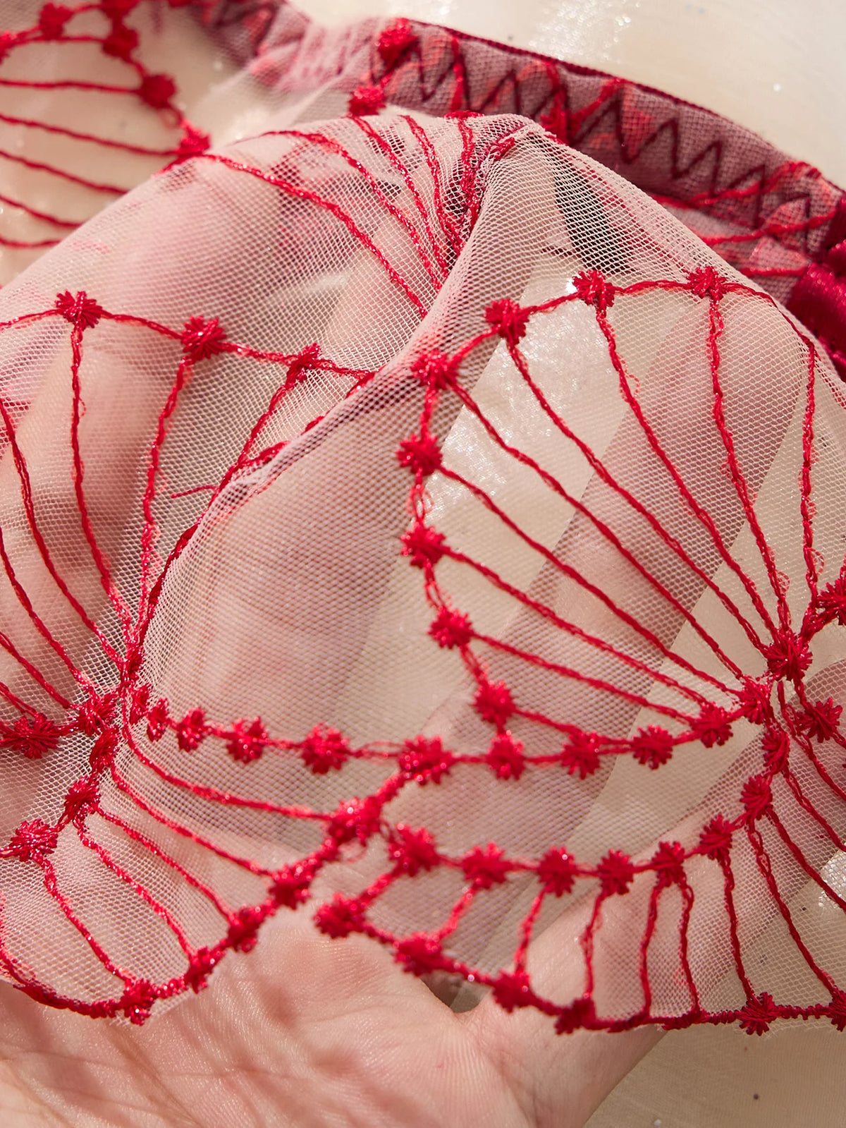 Valentine's Day romantic wine-red embroidered lingerie set - sexy see-through mesh gathered bra set of two pieces ZA825287