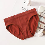 Women's Panties Low Rise Briefs Seamless Underwear Female Underpants Lingerie Sexy Ladies Panties M-L Comfort Intimate