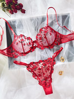 Sexy Sheer Lingerie Set Embroidery Transperant Pornostar Lenceria Sensual Mujer Seducive Conjunto Ropa Interior Set Intimo Lace