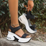 Women's Shoes 2026 Fashion Sandals Summer Women's Thick-soled High-heeled Sandals Open Toe Comfortable Simple Beach Shoes