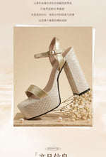 Silver Women Sandals Square Toe 12.5cm High Heel 4.5cm Platform Buckle Strap Large Size 43 44 45 46 Sexy Dating Shoes
