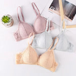 Floral Lace Bras Women Bralette Non-wire Bra Push Up Underwear Back Buckle Brassiere Female Sexy Lingerie