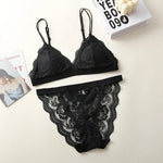 Women Lace Bra And Panties Set Embroidery Lace Bralette Underwear Set Push Up Brassiere Low Briefs Female Sexy Lingerie Set