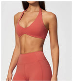 Halter V Neck Yoga Bra Sexy Backless Shockproof Gym Sports Tank Top Quick Dry Workout Fitness Outdoor Gym Running Bra