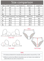 New French style erotic lingerie European and American thin jacquard mesh hollow comfortable bra set MR2669