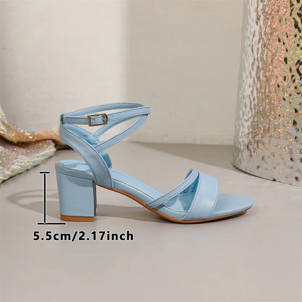 Big Size 42 Classic Blue Ankle Strap Sandals for Women Elegant Summer Block Heels Office Lady Daily Wear Shoes