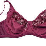Womens Lager Bosom Lace Perspective Bra Sexy Lingerie Underwire Embroidery Floral Bralette Plus Size Brassiere B C D DD E F Cup