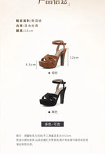 2026 New Block High Heels Sandals Women Peep Toe Ankle Strap Buckle Wedding Party Dress Office Platform Sandals