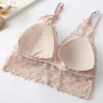 Women Lace Bra and Panties Set V-Neck Hollow Lace Underwear Set Embroidery Scallop Edge Bralette Sexy Lingerie Set Intimates