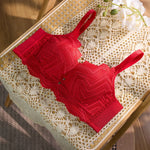 Push Up Bra Sexy Underwear Autumn Winter Thick Mold Cup Women's Lace Bra Underwire Bralette Lace Bras Lingerie Intimates CW9485
