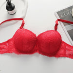 2-piece Sexy Multi-color Lingerie Set For Women's Gathering Push Up Underwear For Women's Flower Underwear Set A2155