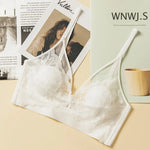 Lace Bras for Women Push Up Bra Non-wire Bralettes Solid Color Patchwork Lace Brassiere Fixed Cup Padded Underwear Sexy Lingerie