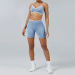 2PCS Yoga Suit Seamless Sports Set Gym Outfits Women Tracksuit Running Workout Clothes Sports Bra Athletic Wear Yoga Clothing