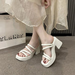 Fashionable High-Heeled Sandals Women's Summer Thin Strap Outer Wear Thick Bottom Drag Shoes Southeast Asia Beach Sandals