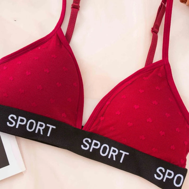Women Lace Bra And Panties Set Sheer Polka Dot Lingerie Non-wire Bralette Sexy Low Rise Thongs Letter Band Mesh Underwear Set