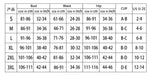 Long Sleeved Sun Protection One-piece Sports Swimsuit for Women High Elasticity Slim Zipper Sports Bikini Monokini Surfing Suit