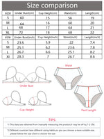 Hot selling 2-piece set of sexy red front button braissere beautiful back butterfly fashion bra push up women's set A2120