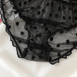 Women 2-Piece Transparent Erotic Sexy Lingerie Dot Embroidery Mesh Fancy Outfit Romantic Hot Underwear Set Bra And Panty Sets