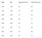3-Pack Women's Underwear Set Lace Floral Fabric Push-Up Bra for Women Underwire Unpadded Sexy Lingerie Set