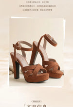 2026 New Block High Heels Sandals Women Peep Toe Ankle Strap Buckle Wedding Party Dress Office Platform Sandals
