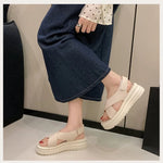 Women's Summer 2026 Thick Heel Fashionable Outdoor Wear Platform Beach Roman Shoes Open Toe Roman Style