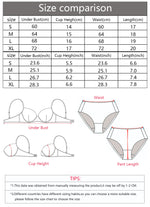 Women's Sexy Embroidered Lace Underwear Set with Steel Ring Padded Strapless Bra Set Adjustable Straps Push-Up Support B6116