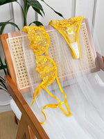 Conjunto de lencería con bordado Floral para mujer, sujetador transparente y ropa interior breve, ropa interior íntima Sexy de s