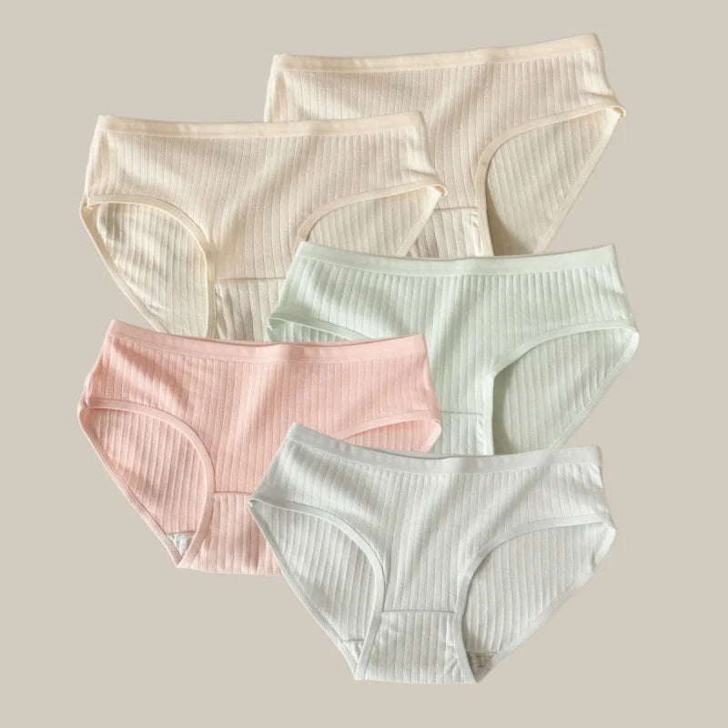 5Pcs/Set Women Cotton Briefs Ribbed Panties Low Rise Underwear Female Underpants Solid Color Sexy Lingerie Soft Intimates M-XL