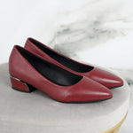 2026 Women Pointed Toe High Heels Shoes New Fashion Pumps Outdoor Anti-slip Designer Shoes Elegant Shoes