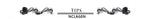 NCLAGEN Yoga Shirts For Women Long Sleeve Winter Fitness Running Gym Clothes Workout Dry Fit Breathable High Elastic Sports Top