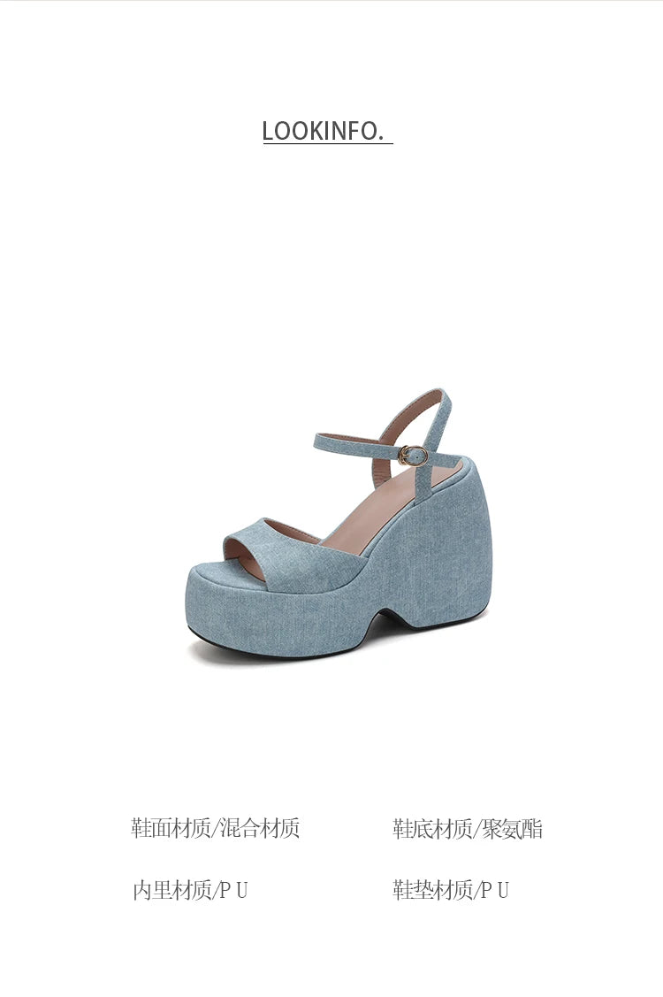 2025 New Summer Women High Heel Shoes Platform Square High Heel Ladies Sandals PU Leather Open Toe Buckle Dress Women Shoes