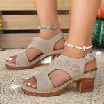 Women's Fashion Chunky Heel Sandals Buckle Strap Casual Summer Shoes Woman Comfort Thick Heeled
