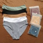 4Pcs/Set Women Low Rise Briefs Women's Cotton Panties Female Underpants Comfort Panties Sexy Lingerie M-XL Underwear