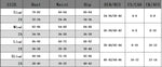 Erotic Lingerie Women Bra And Panty Garters 3pcs See Through Lingerie Sets Sexy Women's Underwear Set Female Sexy Costumes