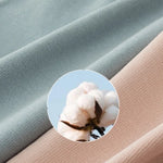 3Pcs/Set Cotton Panties Women Sexy Lingerie Plus Size Women's High Waist Briefs Solid Color Panty Breathable Underpants XS-2XL