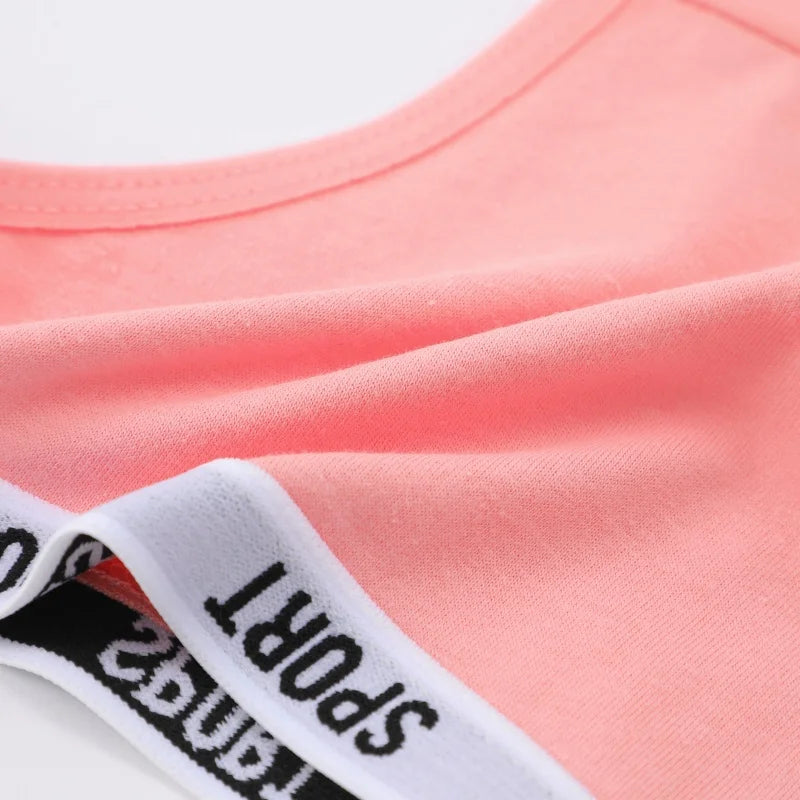 6Pcs/Set Women Thongs Cotton Panties Plus Zise Underwear Sexy G-String Low Waist Briefs Underpants Comfortable Lingerie S-XL