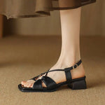Summer New Model Fashion Middle Heeled Women's Sandals Black Buckle Open-toe Comfortable Hollow-out Women's Shoes High 3.5cm