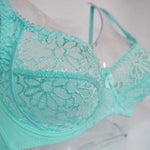 Plus Size Women Lace Bras Perspective Breathable Lager Bosom Bralette Underwired Embroidery Silky Touch BH Top B C D DD E F Cup