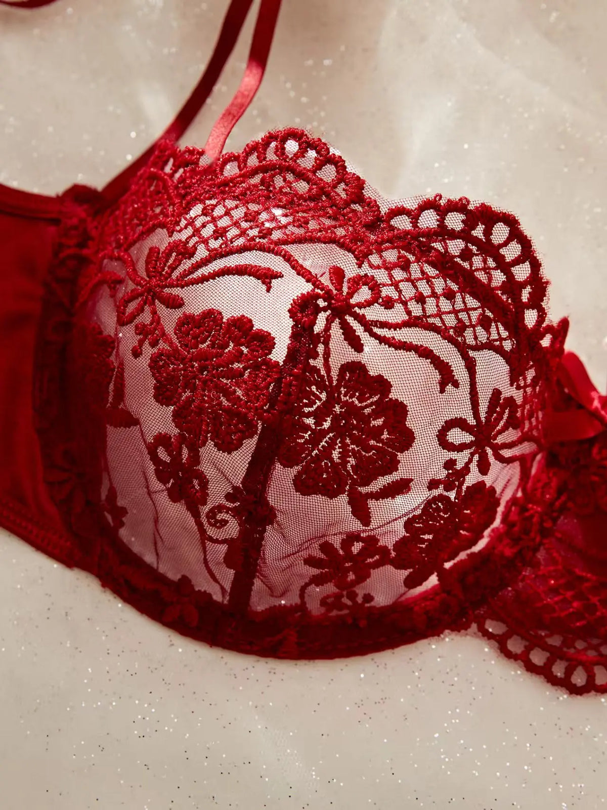 Lady Floral Embroidery Lingerie Set Women Sheer Bra and Brief Underwear Set Satin Sexy Intimates Underwear