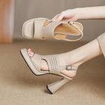 2026 Women's Thick Heel Sandals Summer Hollow Waterproof Platform High Heels Fish Mouth