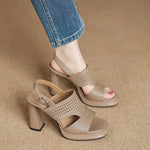 2026 Women's Thick Heel Sandals Summer Hollow Waterproof Platform High Heels Fish Mouth