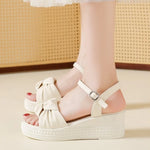 Women Summer Platform Sandals New Open Toe Chunky High Heel Ladies Shoes Casual Flat Bottom Sandalias Femininas