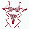 Vintage Wine Red Sheer Mesh Lingerie Set Embroidery Crystal Clasp Bra Ribbon Bow Side‑Tie Thong For Ladies ZA825201