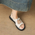 Spring and Summer New Model Fashion Low Heel Women's Shoes Fish Mouth Open-toe Buckle Casual Student Women's Sandals High 2.5cm