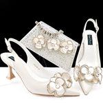 doershowItalian niceShoes With Matching Bags Set Italy African Women's Party Shoes and Bag Sets peach Color Women shHQS1-25