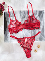 Sexy Sheer Lingerie Set Embroidery Transperant Pornostar Lenceria Sensual Mujer Seducive Conjunto Ropa Interior Set Intimo Lace