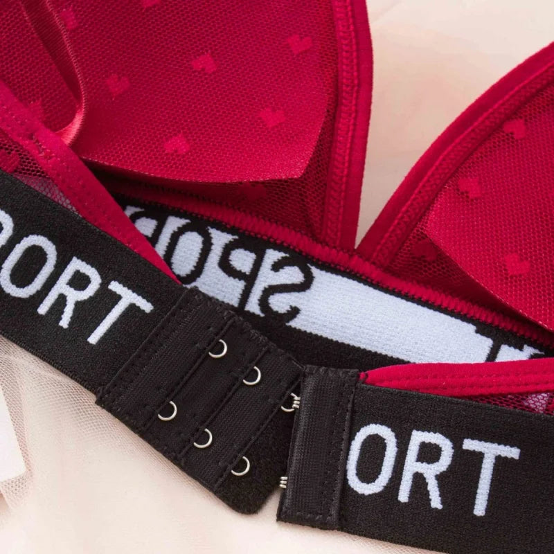 Women Lace Bra And Panties Set Sheer Polka Dot Lingerie Non-wire Bralette Sexy Low Rise Thongs Letter Band Mesh Underwear Set