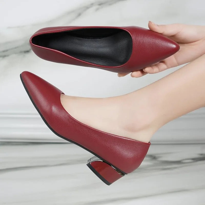 2026 Women Pointed Toe High Heels Shoes New Fashion Pumps Outdoor Anti-slip Designer Shoes Elegant Shoes