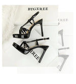 BIGTREE Classic Black Ankle Strap Stiletto Heels Round Toe Open Toe High Heels Women's Versatile Dress Shoesfor All Occasions